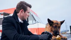 Hudson et Rex S01E08 Chaud devant en streaming