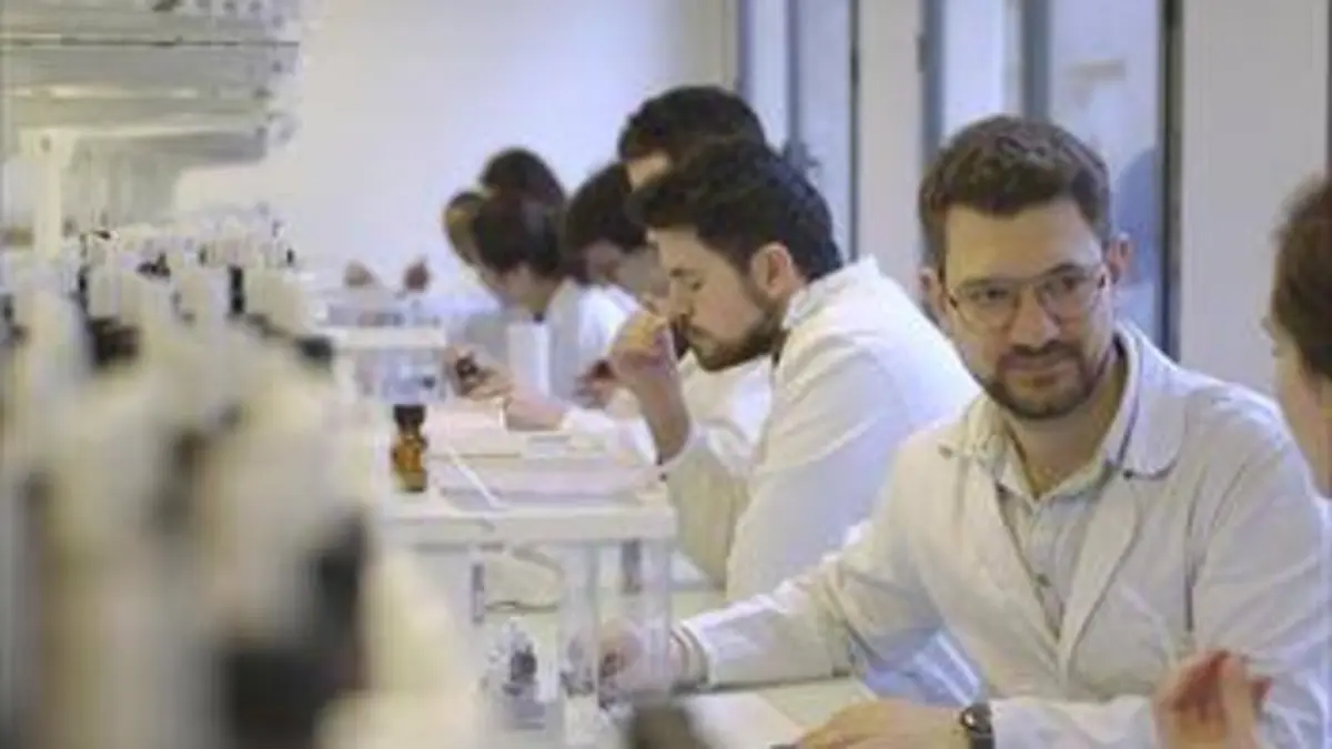 Human + : le futur de nos sens