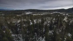 Hunt for the Abominable Snowman