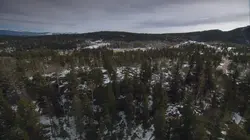 Hunt for the Abominable Snowman