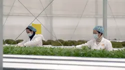 Hypermarchés, la chute de l'empire