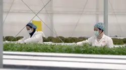 Hypermarchés, la chute de l'empire