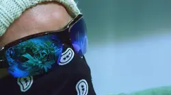 Inside : l'univers des drogues en streaming