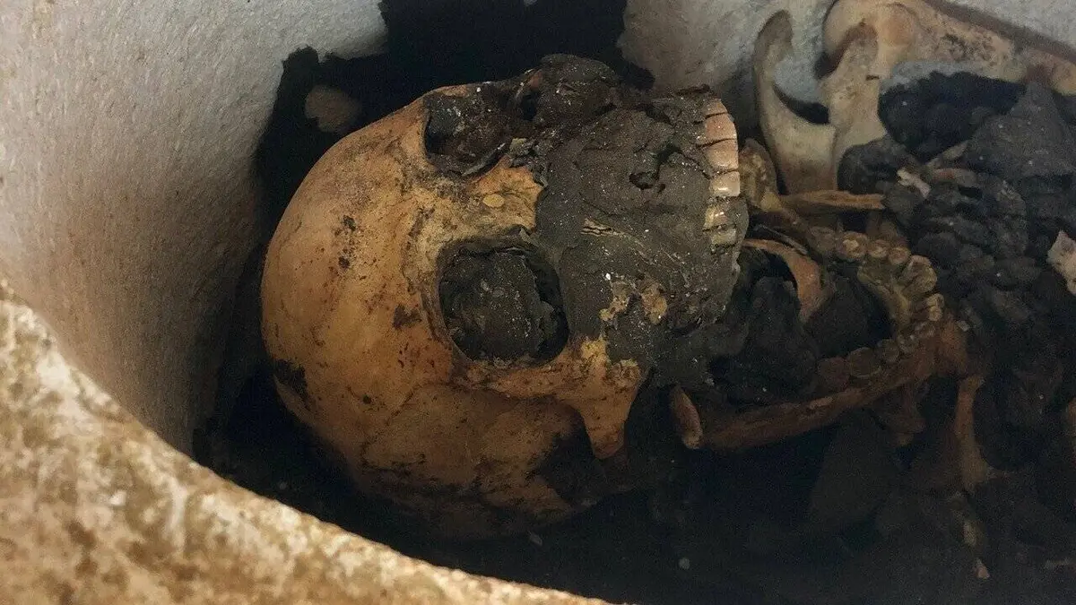 Casting Josh Gates et le mystère de la momie