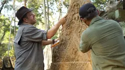 Josh Gates et les trésors perdus
