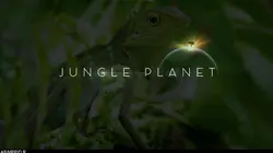 Jungle Planet E18 Les oliveraies