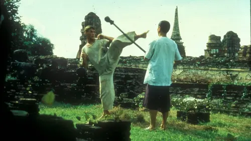 Audience Kickboxer