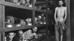 L'Amérique face à l'Holocauste