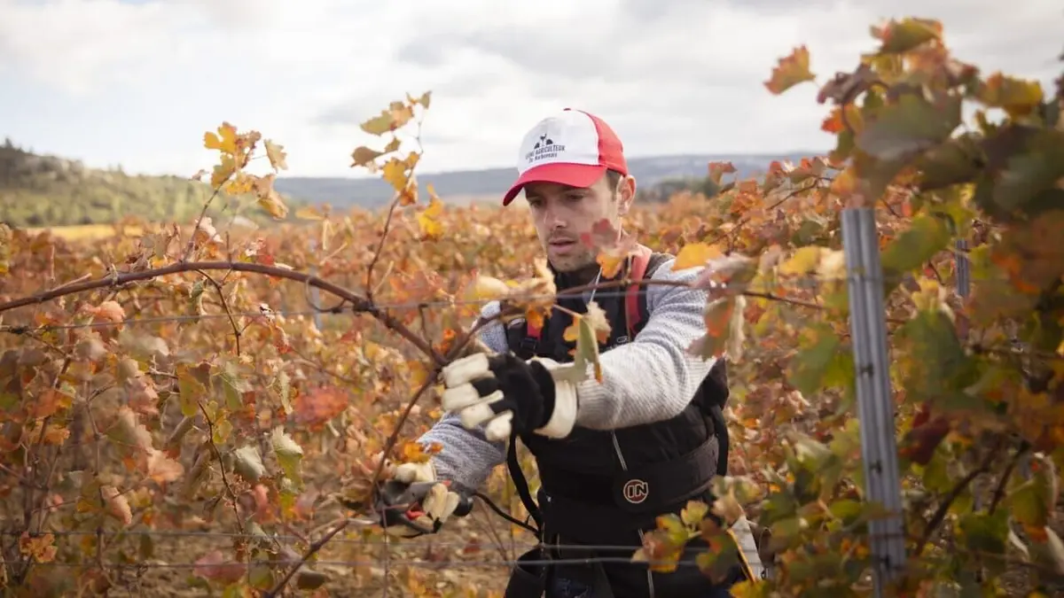 L'amour est dans le pré S19E10
