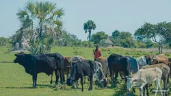 L'autre voyage Zambie