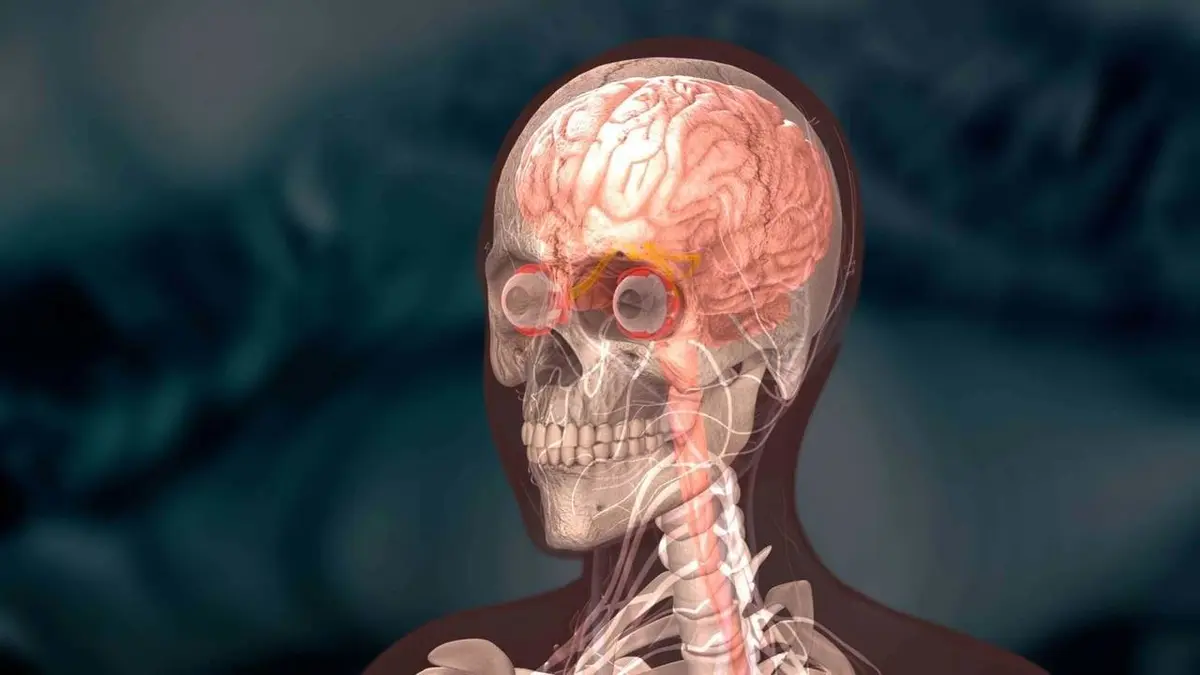 Audiences TV : L'histoire secrète de notre corps