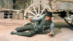 L'homme de la loi en streaming