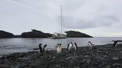 L'île d'Elle en Antarctique