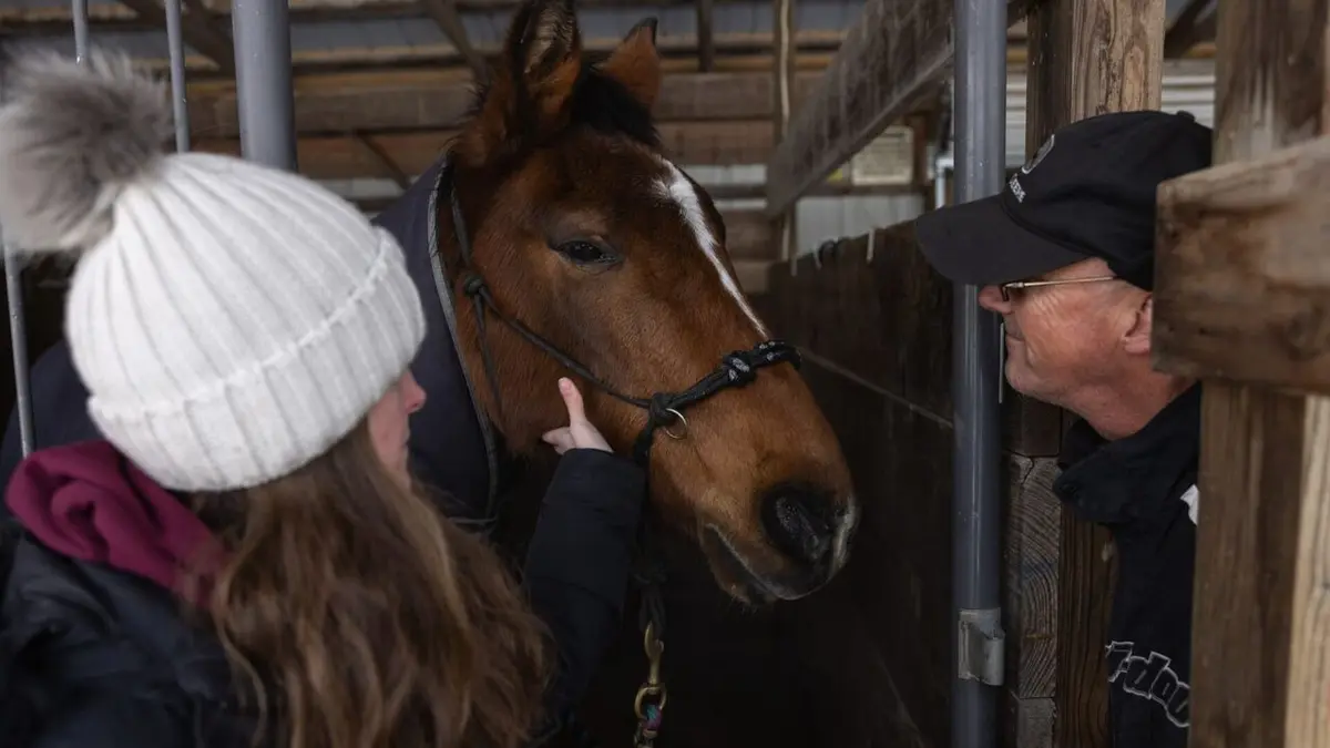L'incroyable Dr Pol Pol'Nord Express