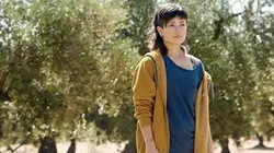 L'olivier en streaming