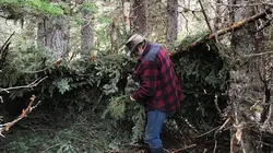 L'or de la vallée maudite