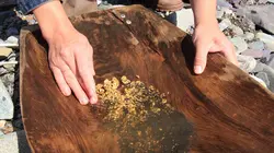 L'or de la vallée maudite