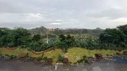 Casting La civilisation perdue d'Amazonie