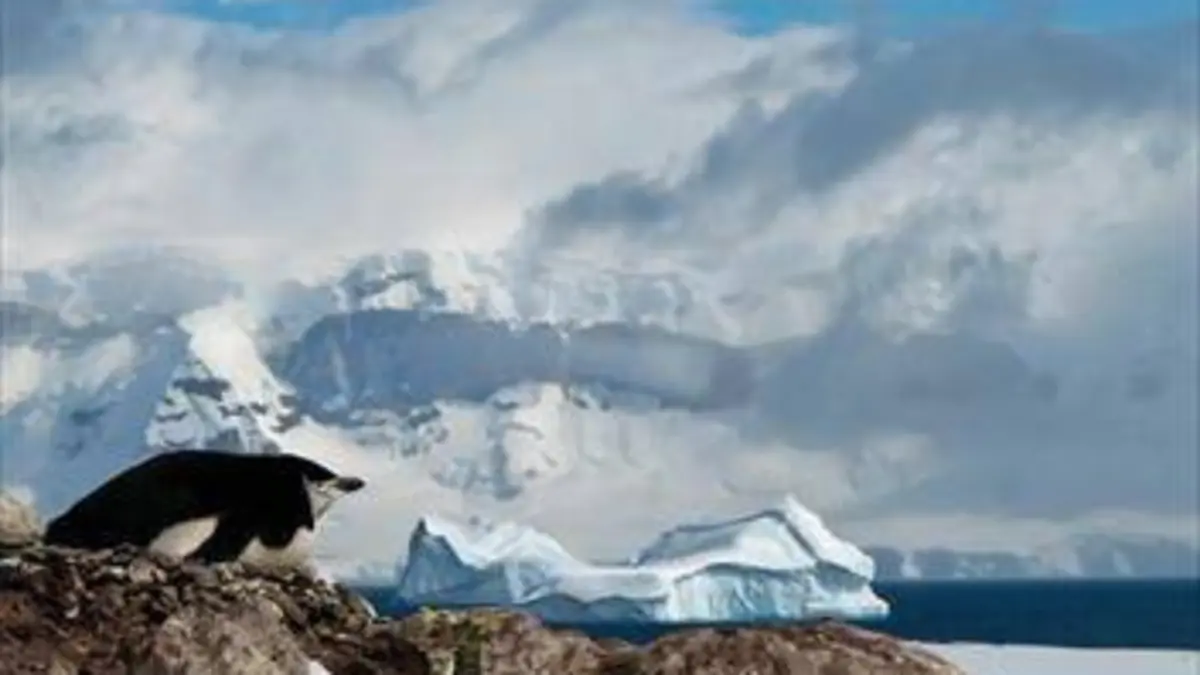 Casting La face sauvage de la planète