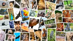 La grande odyssée Episode 4