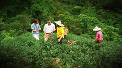 La tournée des popotes Suède