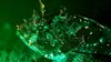 2024 • La vie en fluo : Briller pour survivre
