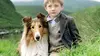 2005 • Lassie ⭐ 3.72 Edward Hynes
