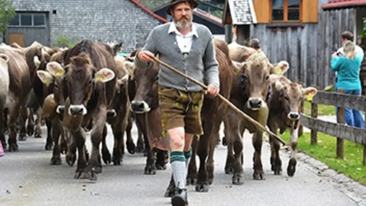 Casting Le bonheur est dans l'alpage