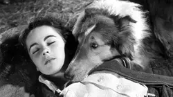 Casting Le courage de Lassie