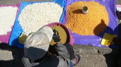 Le globe-cooker - Frédéric Chesneau Madagascar