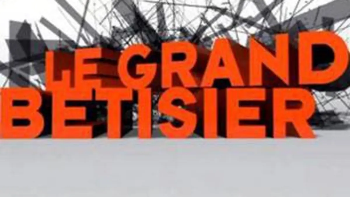 Le Grand Bêtisier De L Histoire De France Illustré tv-programme.com