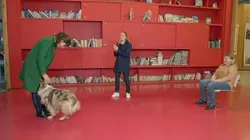 Le monde de Jamy E22 Nos animaux ont la parole