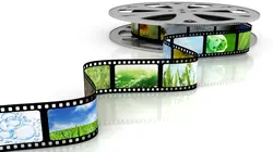 Le monde des océans Les requins