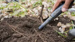 Le mystère d'Oak Island Un paquet de secrets