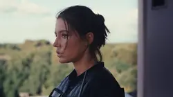 Le règne animal en streaming