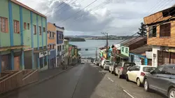 Le saumon, le bon filon