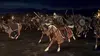2024 • Le Seigneur des anneaux : La guerre des Rohirrim ⭐ 3.5 Olwyn