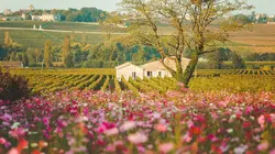 Le temps d'un détour