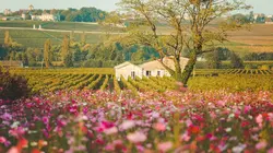 Le temps d'un détour