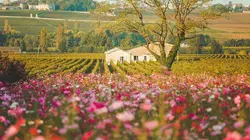 Le temps d'un détour