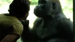 Le zoo du Bronx S01E01 Le chouchou du zoo