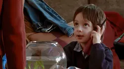 Les 100 pubs les plus cultes