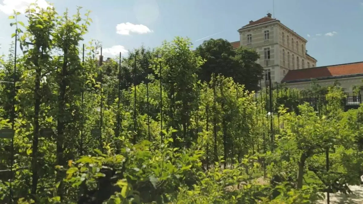 Casting Les amoureux du Luxembourg