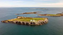 Les animaux sauvages d'Europe