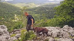 Les animaux sauvages d'Europe