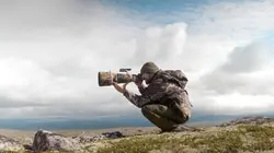 Les animaux sauvages d'Europe