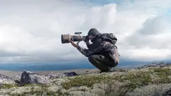 Les animaux sauvages d'Europe