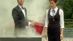 Les bêtises en streaming