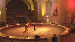 Casting Les châteaux de France