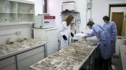 Les dernières heures de Pompéi